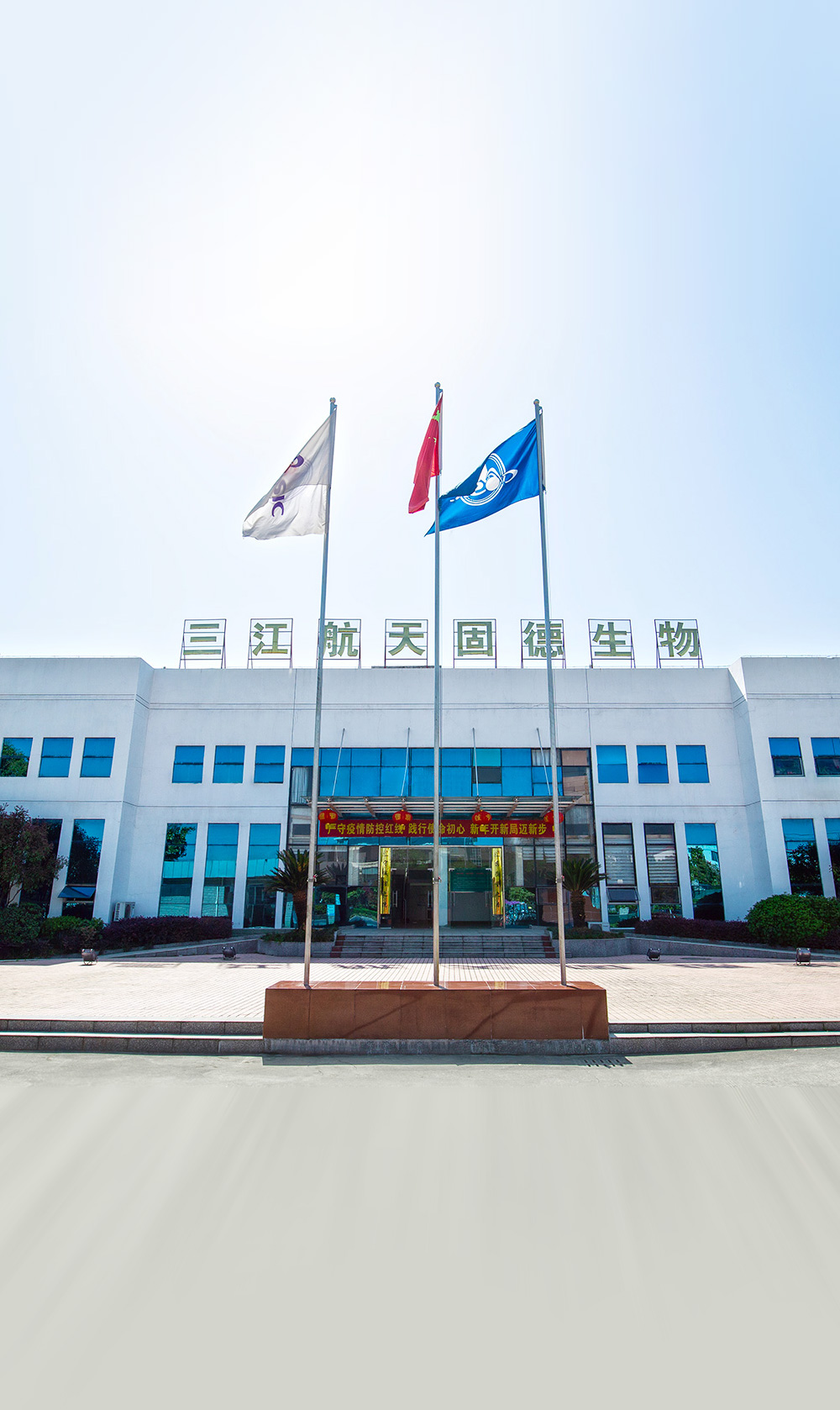 China Sodium Lactate factory and manufacturers